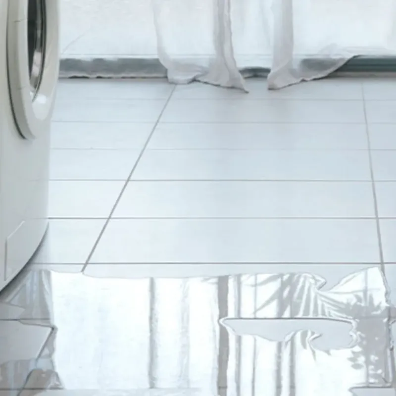 Appliance Leak Cleanup in Lincolnton, NC