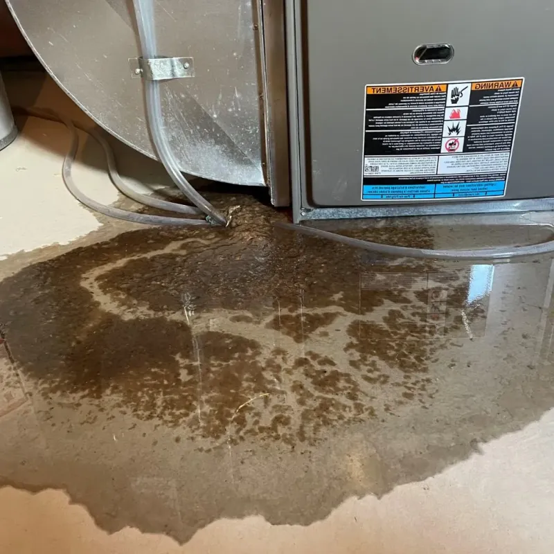 Pipe Burst and Leak Restoration in Lincolnton, NC